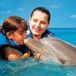 Swim with Dolphins