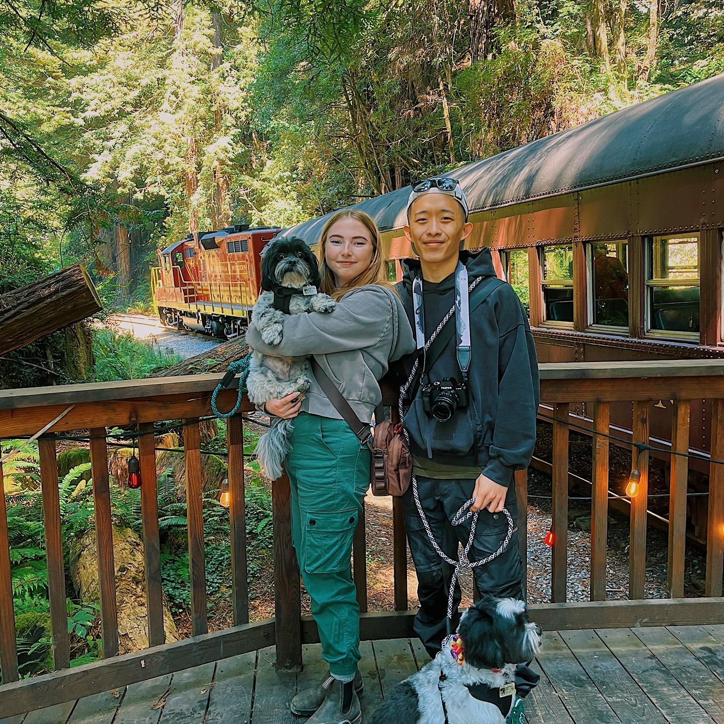 Skunk Creek Train