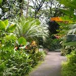 Hawai‘i Tropical Botanical Garden