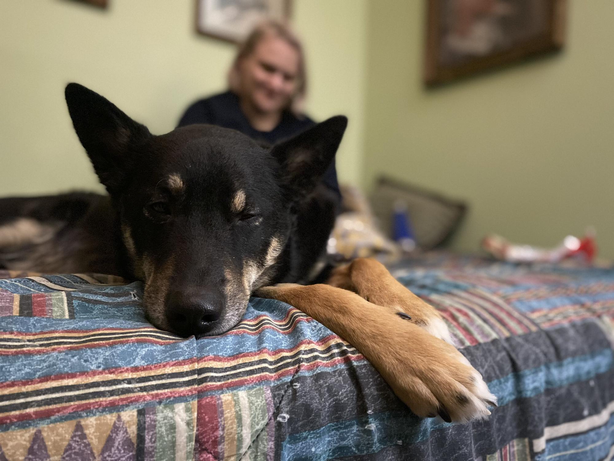Dasher is very photogenic and we love him a lot.