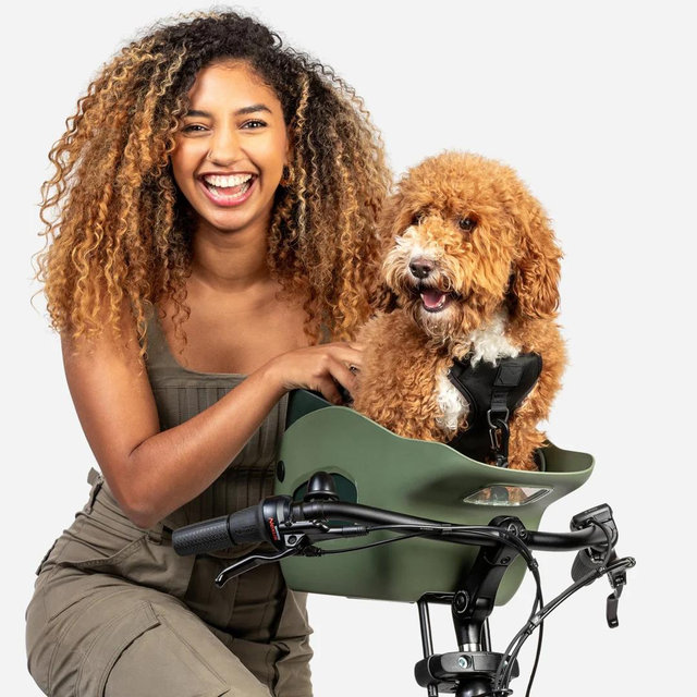 Kvisp Dog Bike Carrier