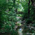 Asheville