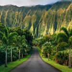 Hoʻomaluhia Botanical Garden