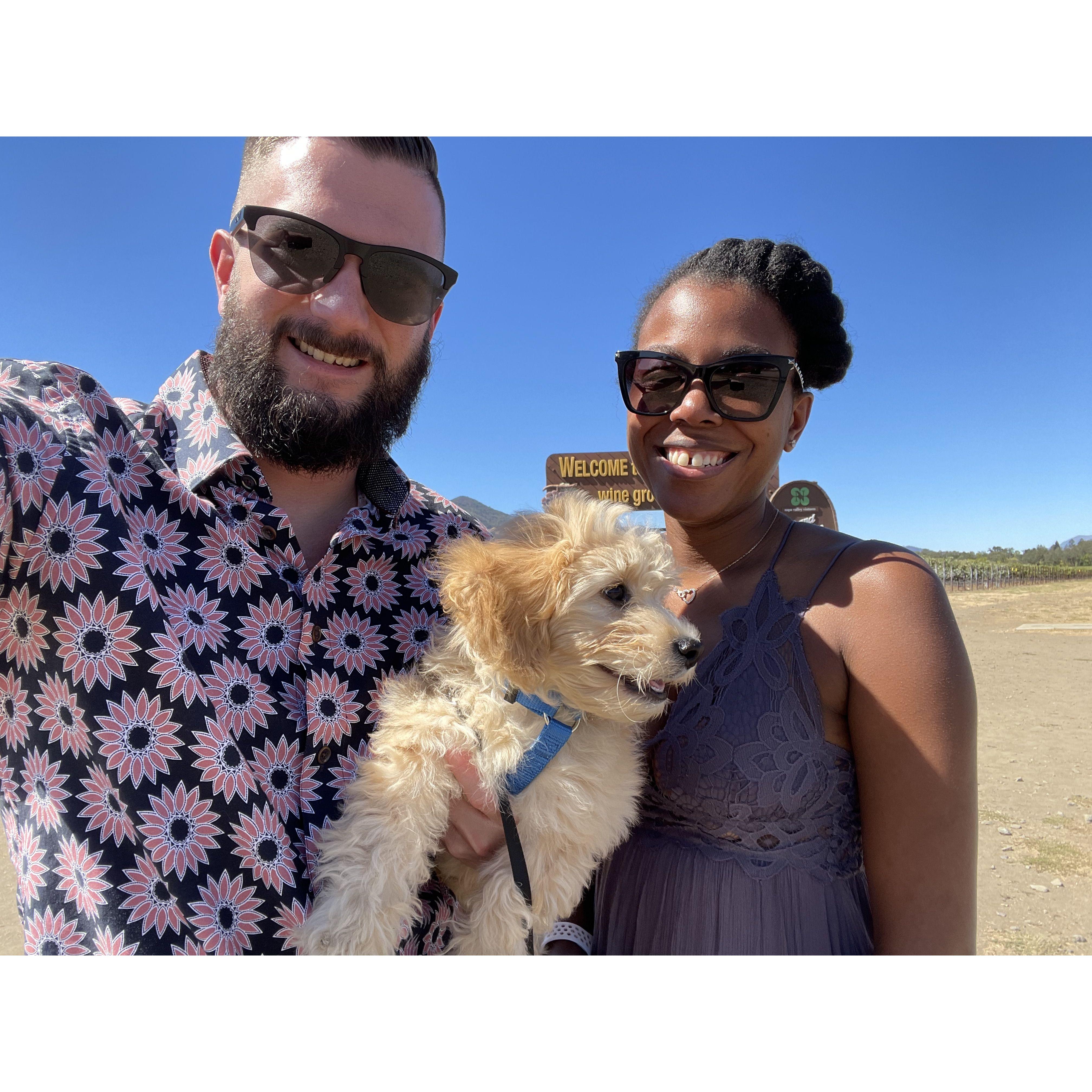 Welcome Ollie to the family!!! <3