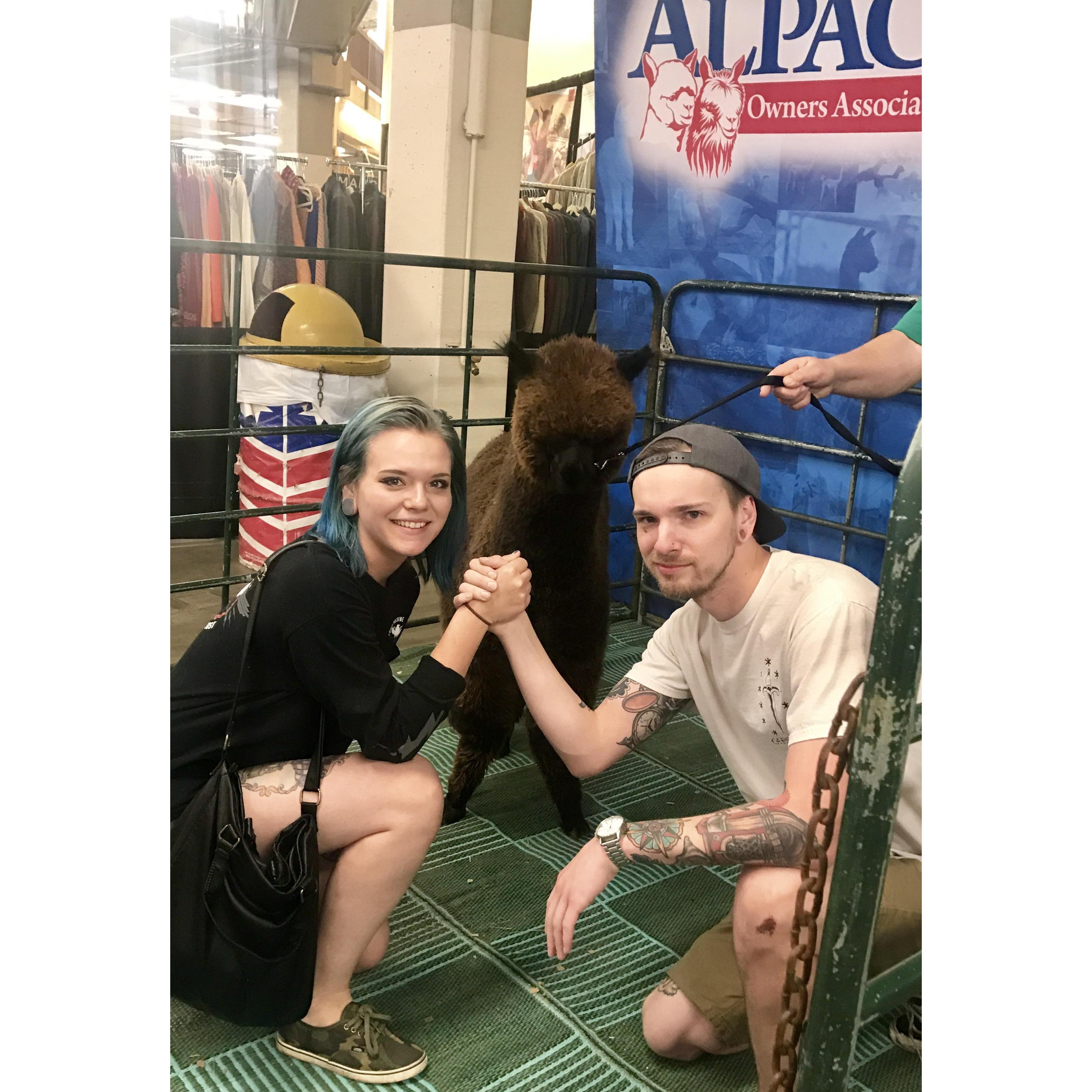 The Alpaca Convention