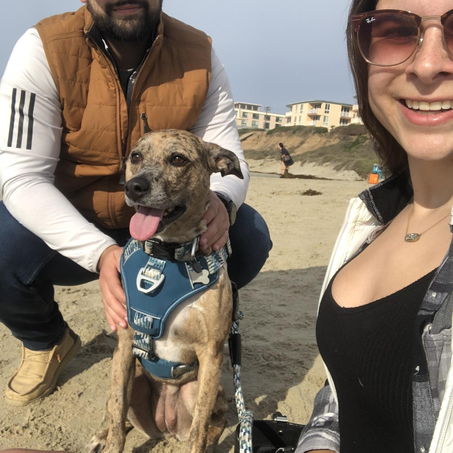 12/26/23 California Christmas