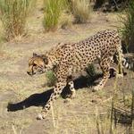 Animal Ark Wildlife sanctuary