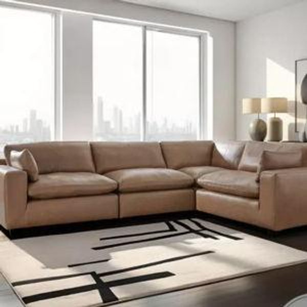 Our New Couch