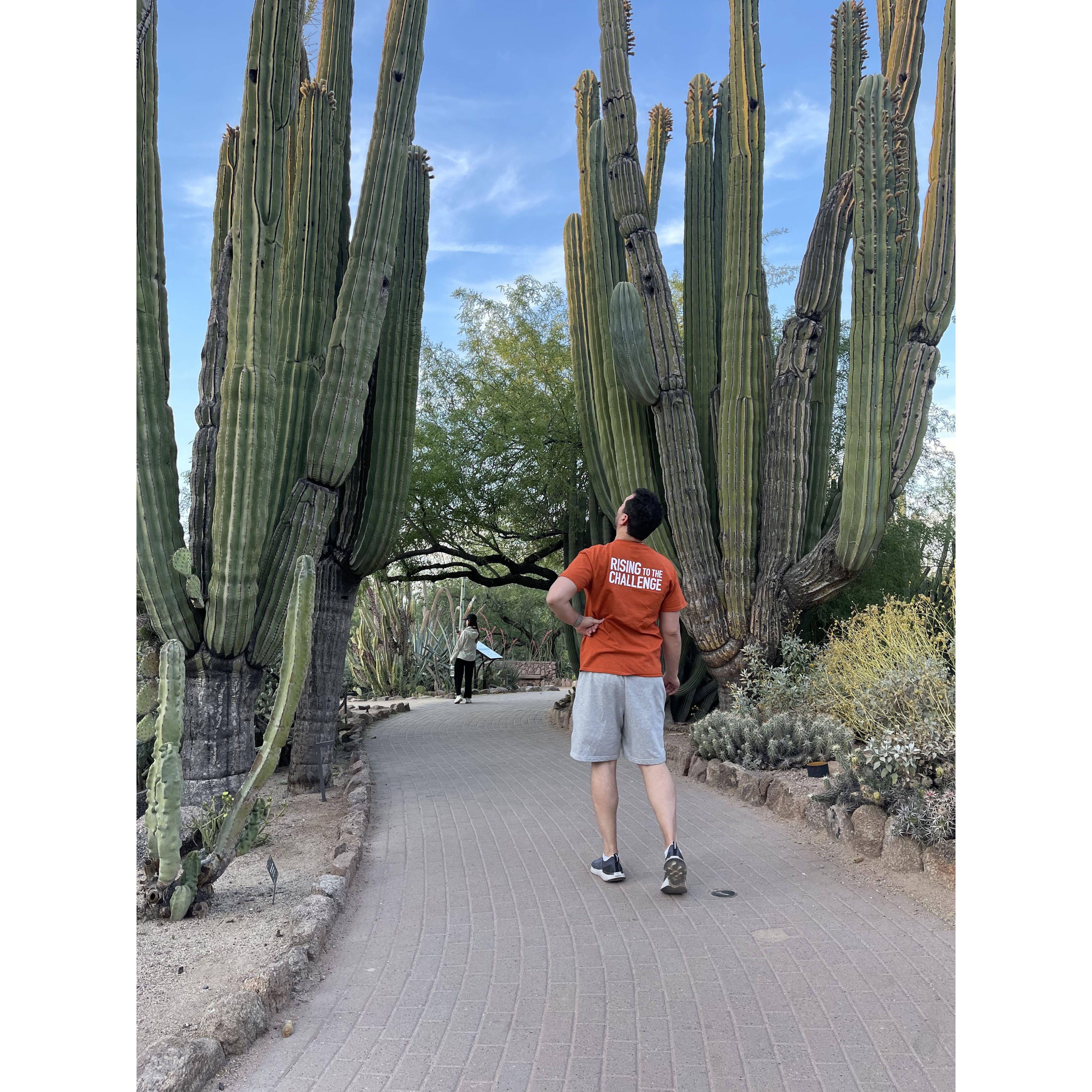 Phoenix, 2023