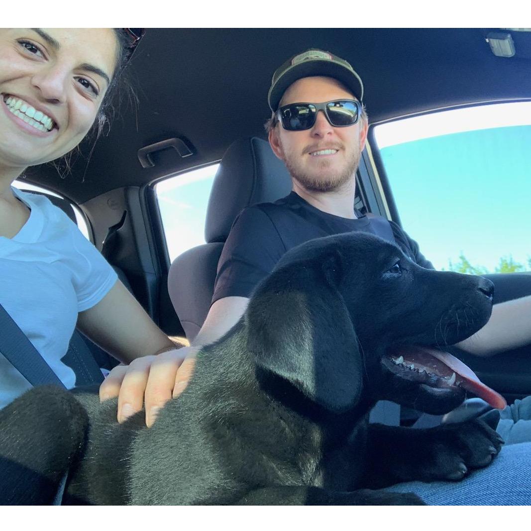 Bringing Phoebe Home