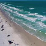 New Smyrna Beach