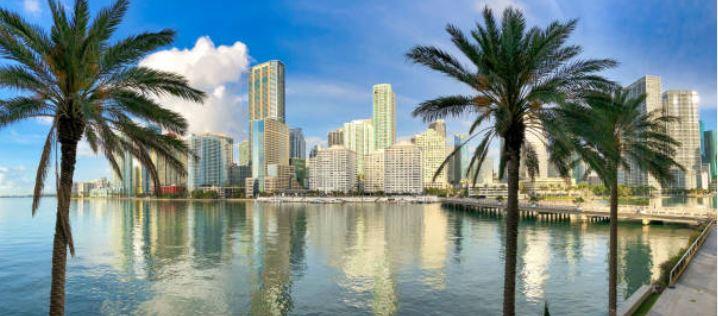 The Wedding Website of Cristina Hussain and Allen Lance