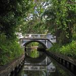 Downtown Winter Park