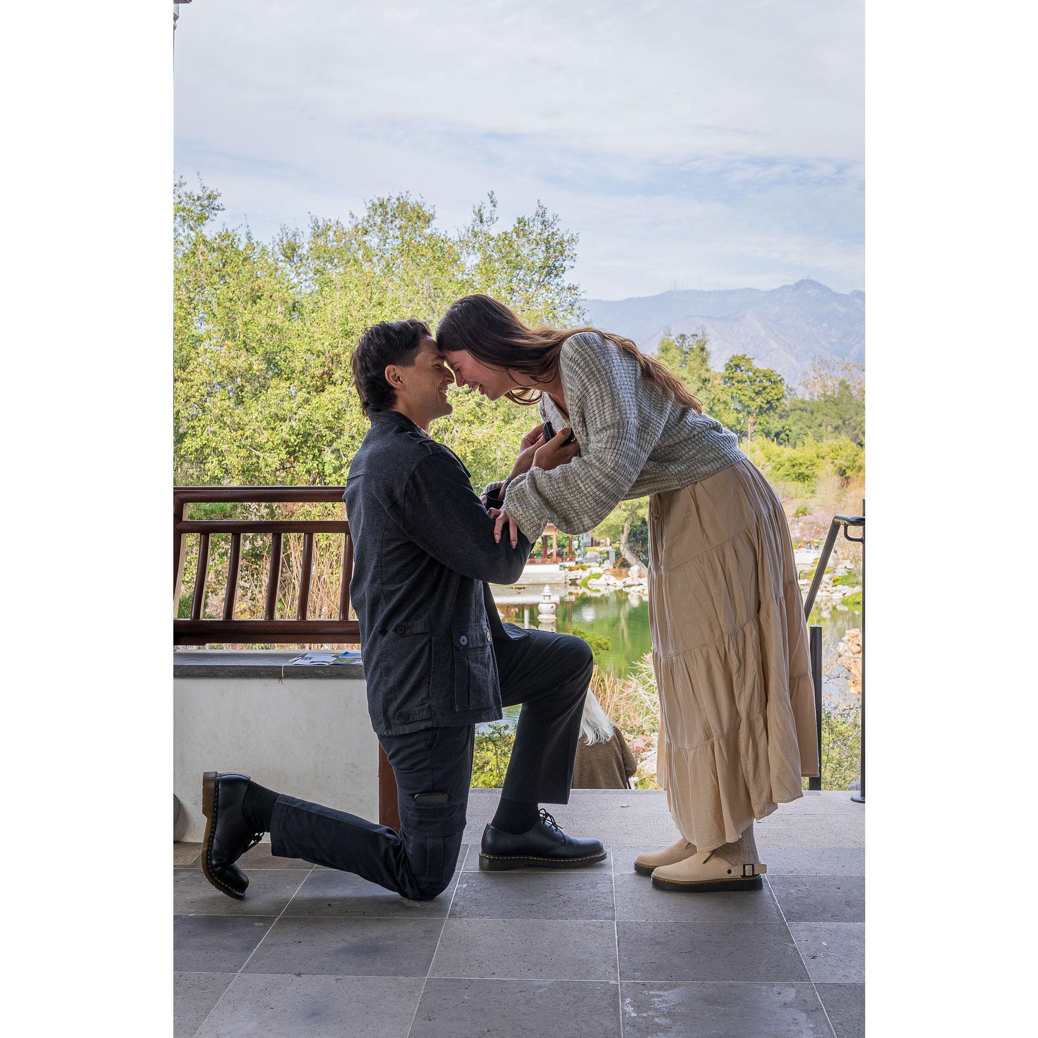 Michael planned the most perfect proposal, Annika has never been so surprised in her life