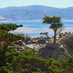 17 Mile Drive