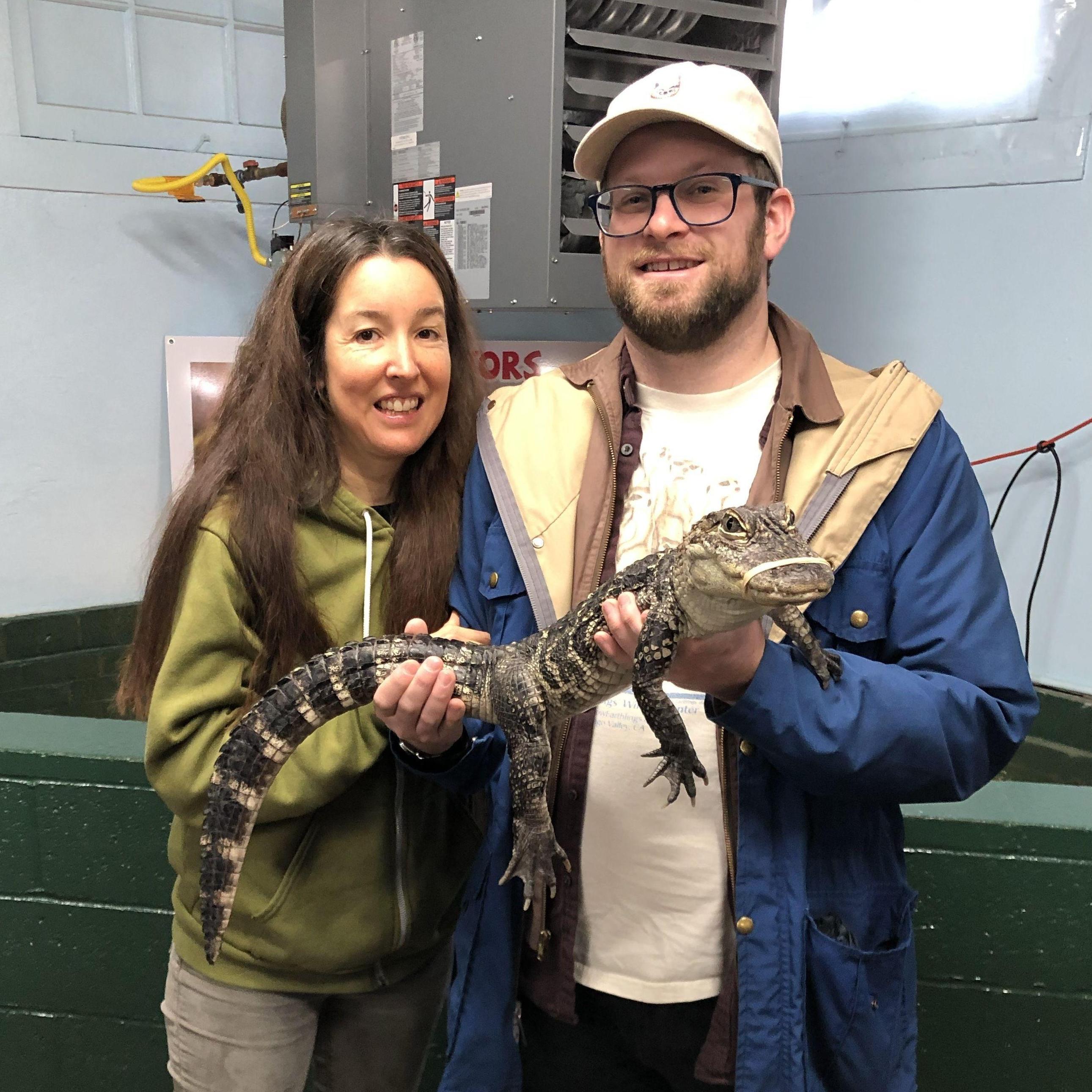 Gator Farm in Arkansas