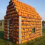 Country Bumpkin Farm Market, LLC.