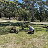 Cleland Wildlife Park