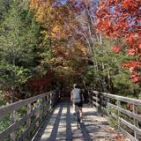 Shoreline Greenway Trail at Hammonasset State Park