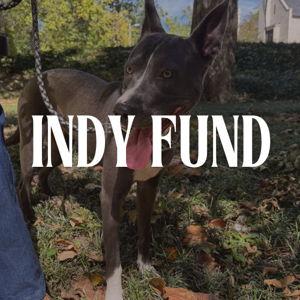 The Indy Fund!