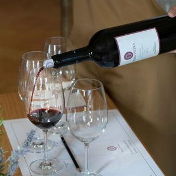 Wine Tour 1