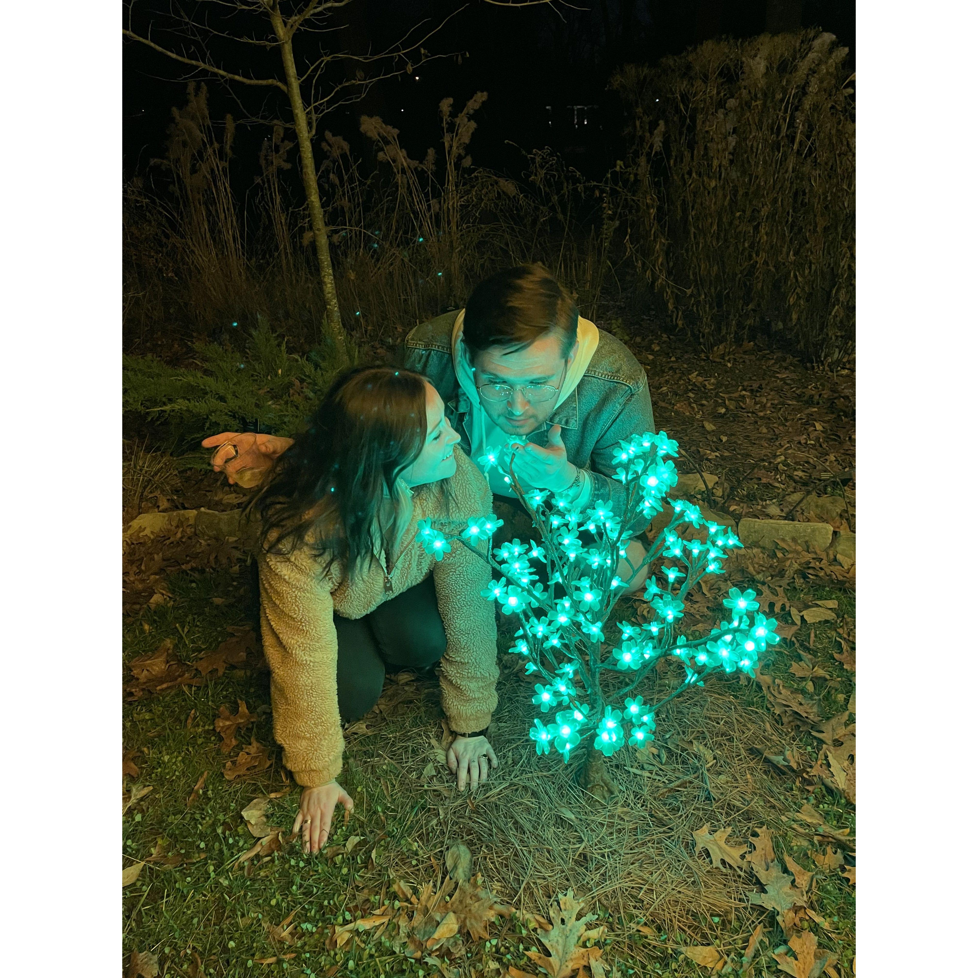 Just being moths, gazing into some beautiful lights