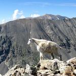 Quandary Peak Trailhead