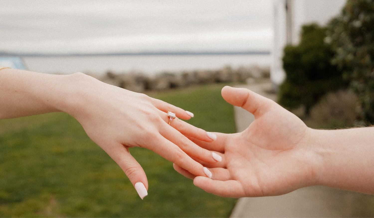 The Wedding Website of Elizabeth Sweet and Noah McDaniel