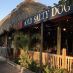 The Old Salty Dog Siesta Key