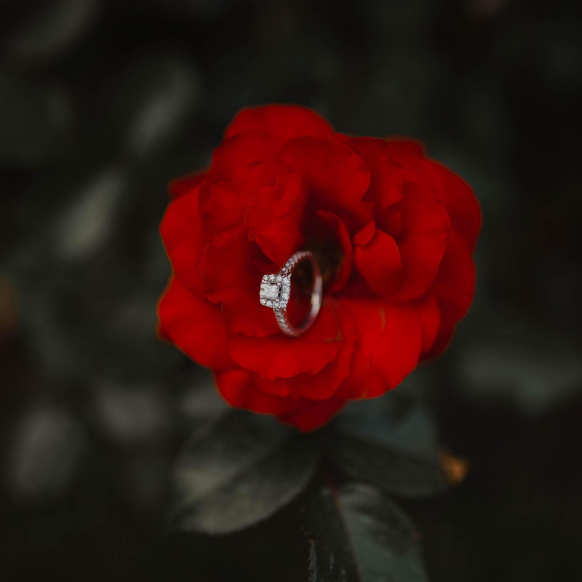Photographer: Keziah Loht