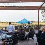 Taproot Brewing Co.
