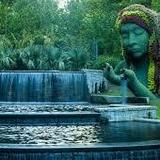 Atlanta Botanical Garden