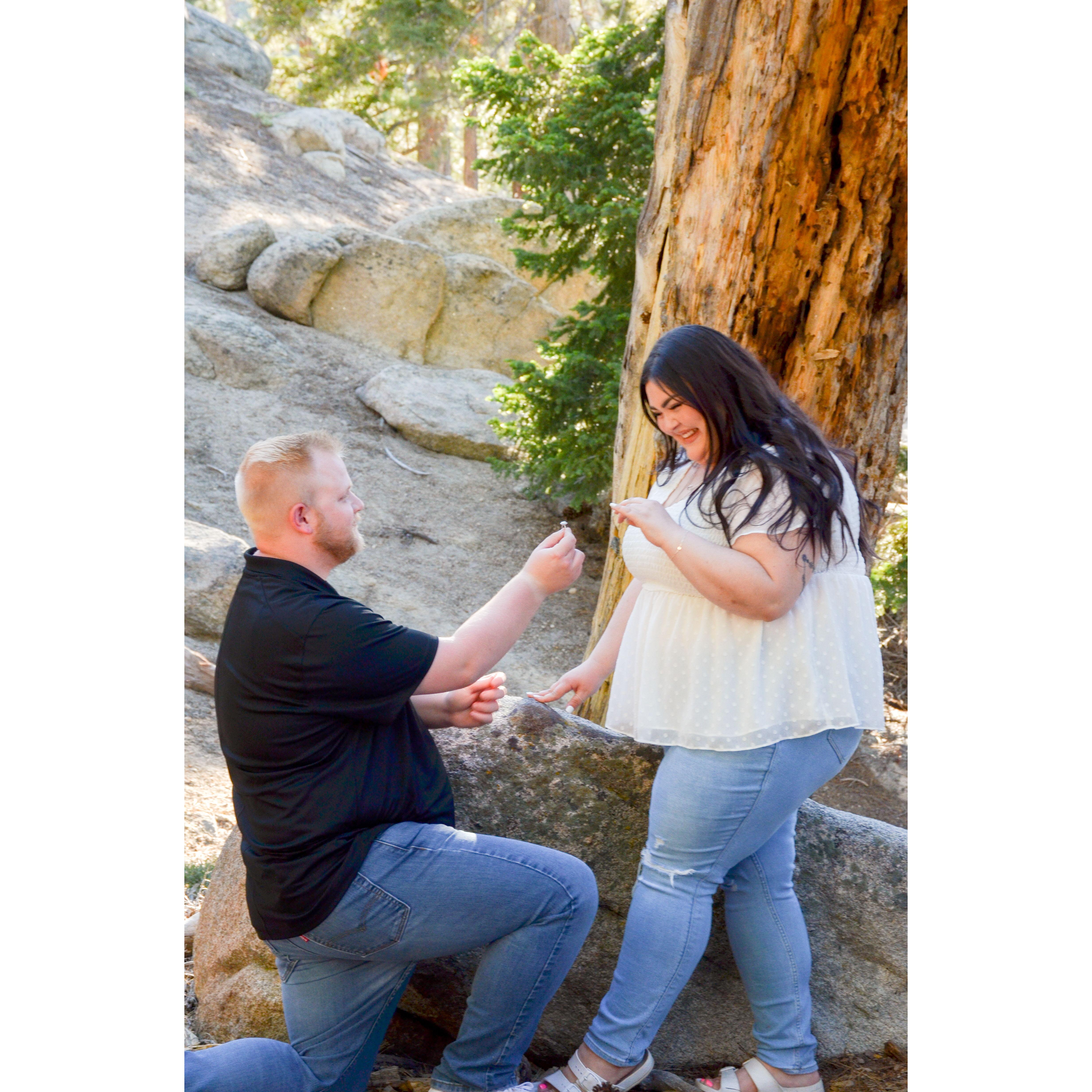 The easiest YES! June 21, 2024