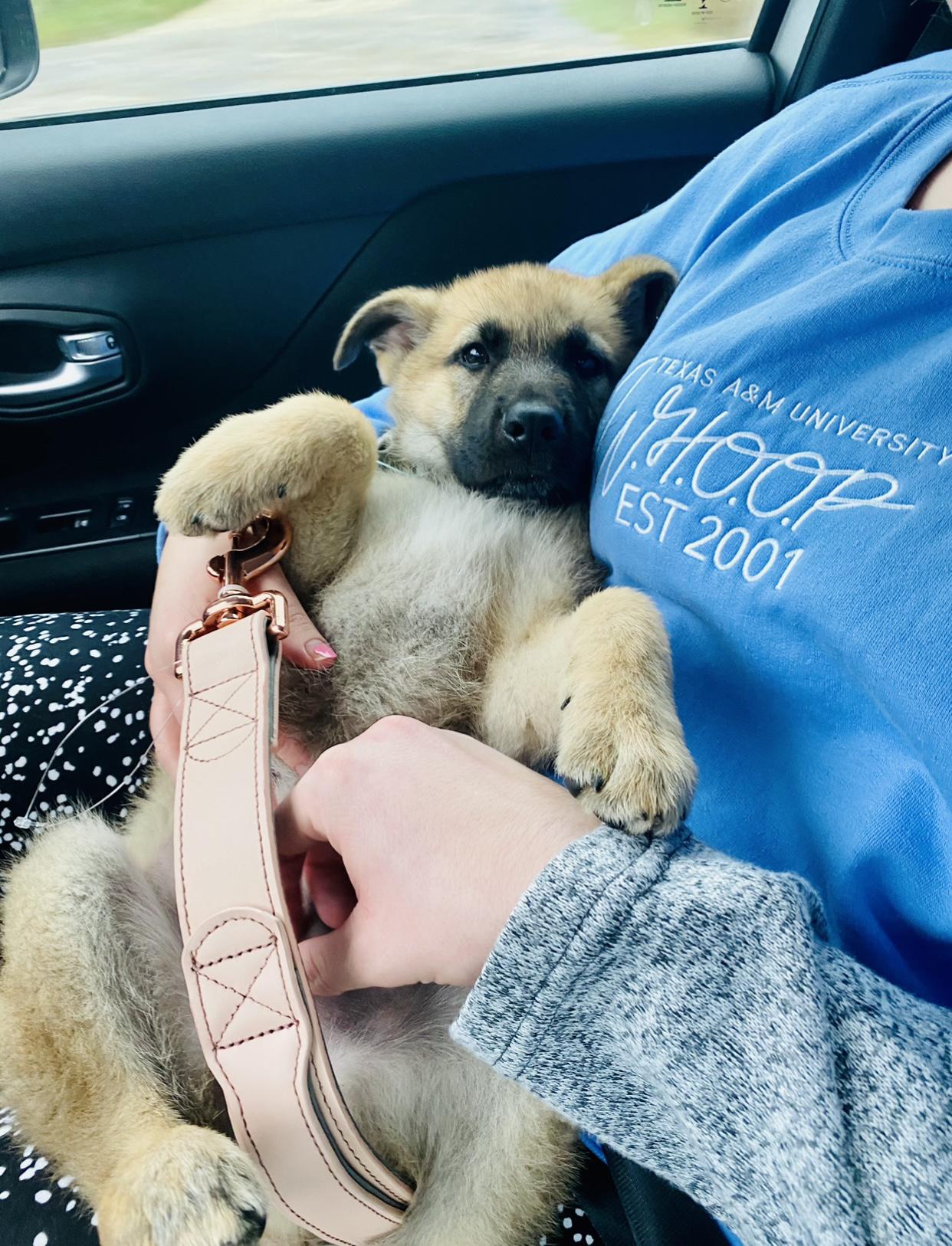 The day we brought Hershey, our little child, home.