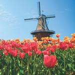 Windmill Island Gardens