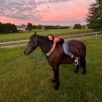 Bear Mountain Stables