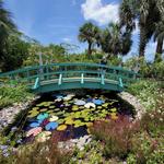 Marie Selby Botanical Gardens Downtown Sarasota campus