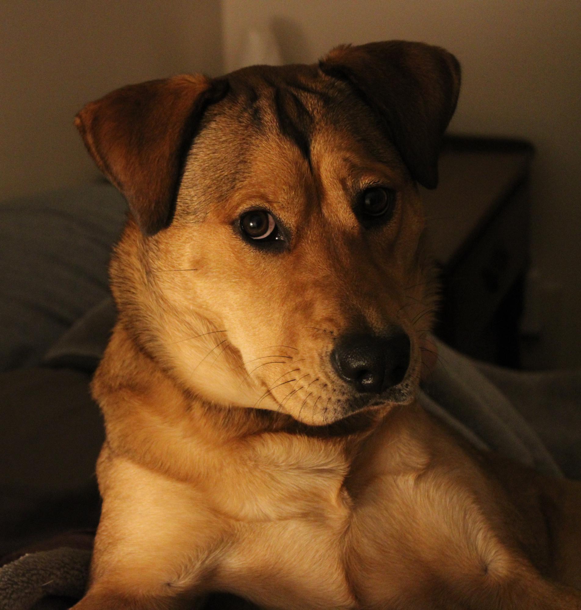 The dubious Wilma