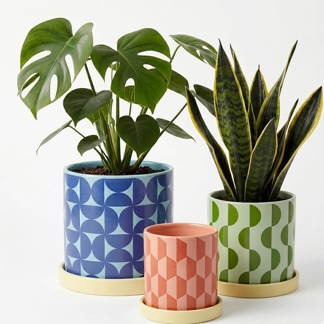 Original Earthlings Ceramic Plant Pots - Flower Pots with Drainage Hole and Saucer, Geometric Flower Vase, Colorful Decorative Planters for Indoor Plants, Succulent, Snake Plant, Home Decor - Set of 3