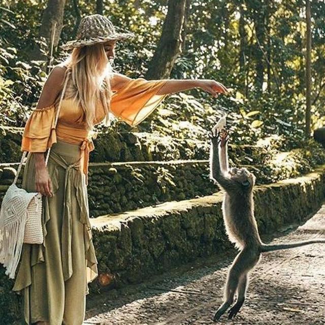 Sacred Monkey Forest Sanctuary