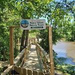 Honey Island Swamp Tours