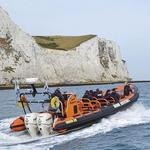 Dover Sea Safari