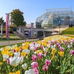 Phipps Conservatory and Botanical Gardens
