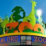 Zoo Miami