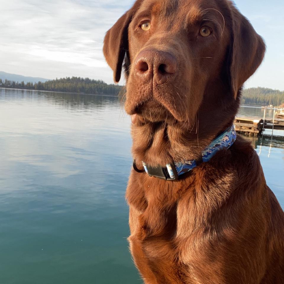 Had to throw our son in here.. He's a model