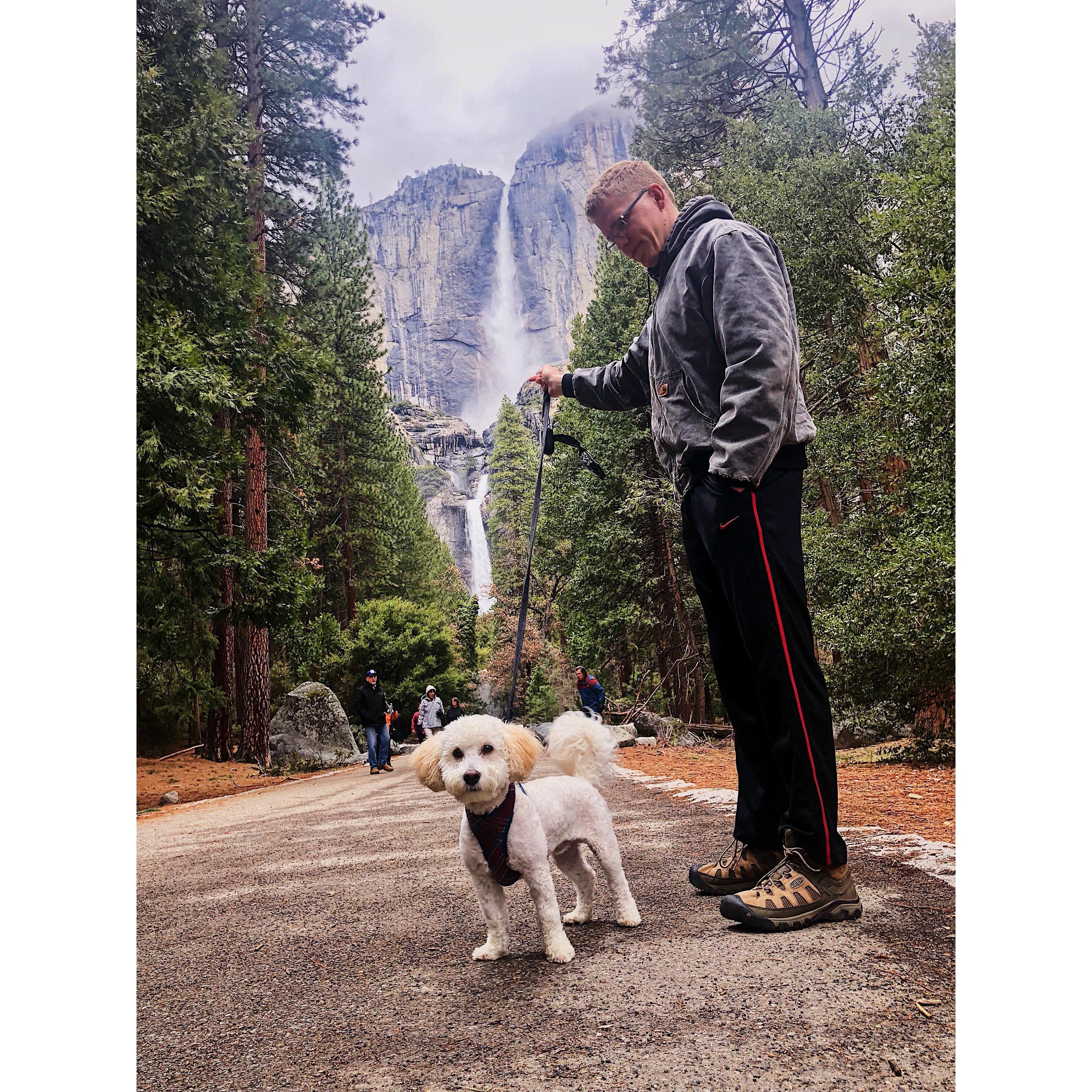 When we went to Yosemite with our fur baby Sam!