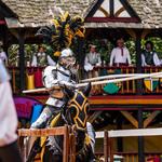 Carolina Renaissance Festival