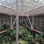 Garden Conservatory at the Gaylord Opryland