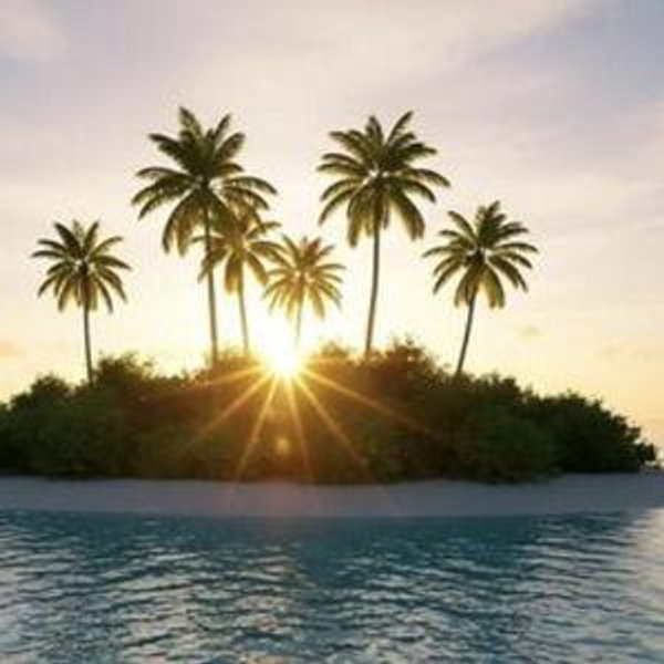 Honeymoon Fund