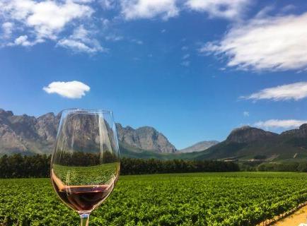 Wine Tasting For Two in South Africa
